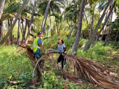 THE RESTORATION OF PUNALUʻU 7 Eva Liu working alongside crew members to clear fallen palm fronds during land restoration at Punaluʻu in Kaʻū, Hawaii