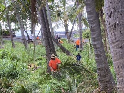 THE RESTORATION OF PUNALUʻU 11 IMG_8177