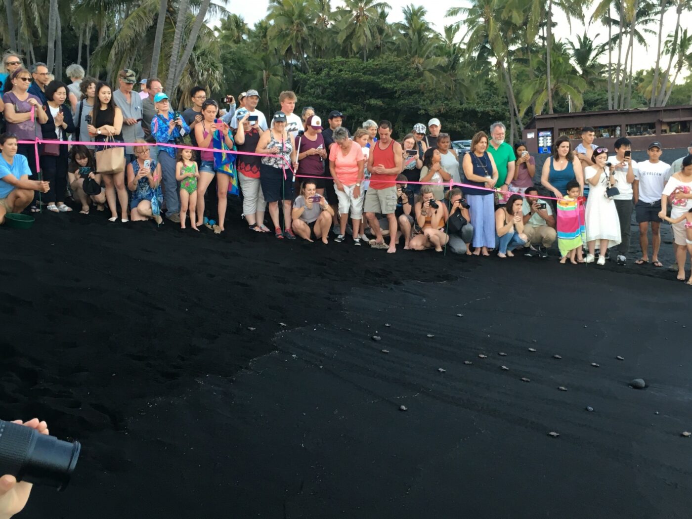 Visit Punaluʻu Responsibly 8 Picture1