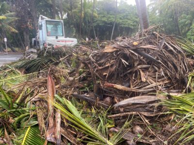 THE RESTORATION OF PUNALUʻU 6 Picture5