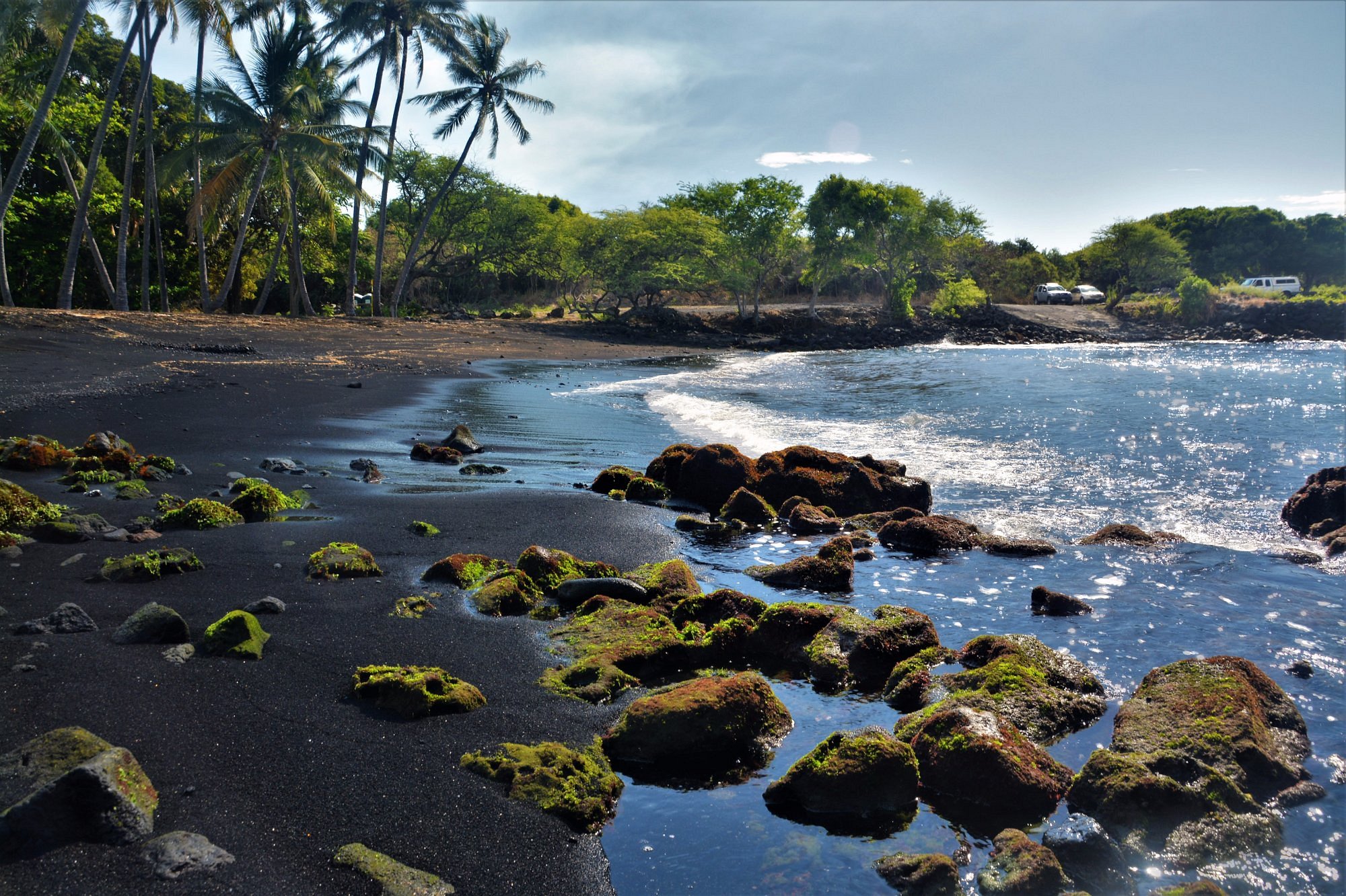 Visit Punaluʻu Responsibly 13 a-span-of-the-beach
