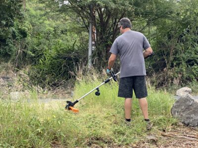 THE RESTORATION OF PUNALUʻU 15 Individual clearing overgrown grass and vegetation with a trimmer during land restoration at Punaluʻu in Kaʻū, Hawaii