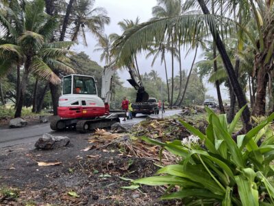 THE RESTORATION OF PUNALUʻU 19 Heavy equipment and workers clearing storm debris and fallen vegetation along the road near Punaluʻu in Kaʻū, Hawaii
