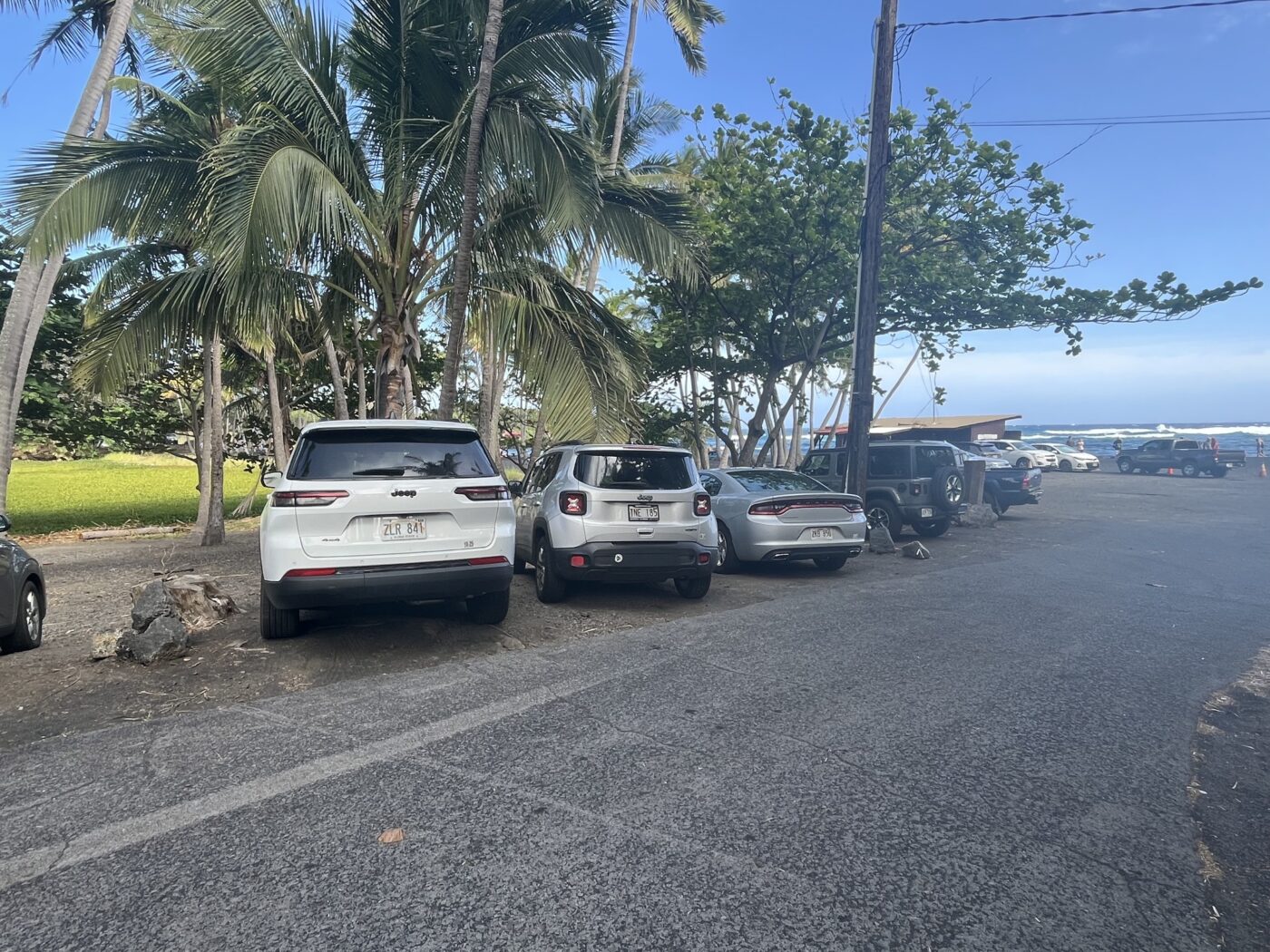 Visit Punaluʻu Responsibly 16 482055932_671508075407734_840032627608945005_n
