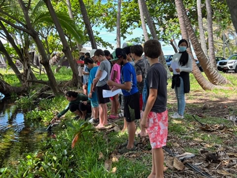 Visit Punaluʻu Responsibly 20 482083870_660577889778486_5612256571339112896_n