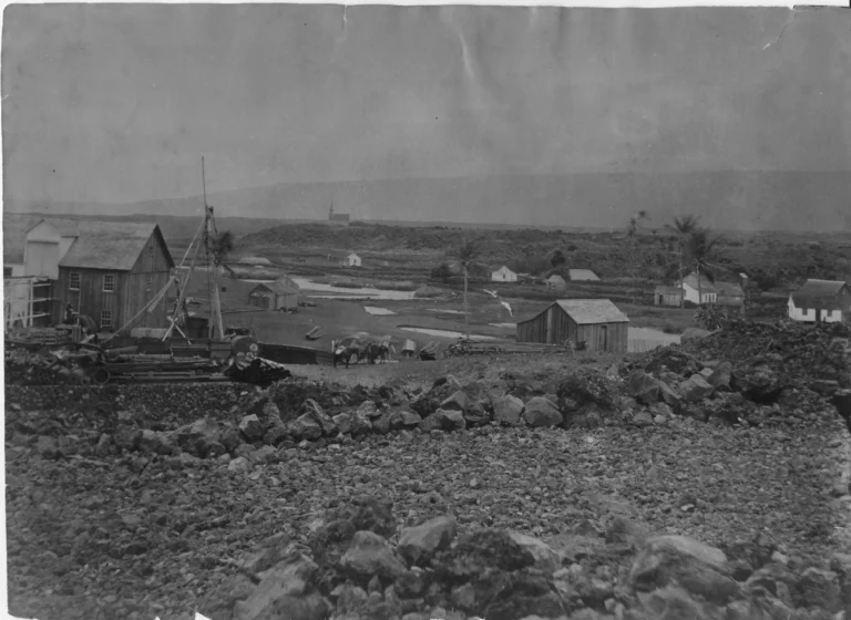 Punaluʻu Landing circa 1880 showing early coastal village structures, landing area, and agricultural activity in Kaʻū, Hawaiʻi Island