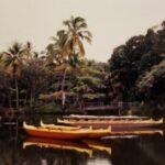 Outrigger canoes resting on freshwater lagoons at Punaluʻu Village during the Sea Mountain community era in Kaʻū, Hawaiʻi